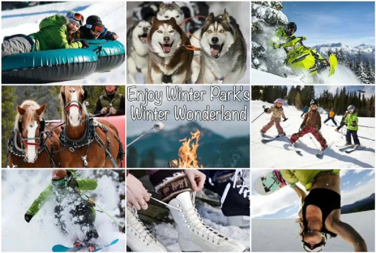 This vibrant winter scene captures a flurry of snowy adventure activities: families and friends are tubing down hills, a pack of huskies waits for a dog sledding ride, there are snowmobiles set against a white landscape, a horse-drawn sleigh, a lively fire, children learning to ski, a snowboarder in action, and someone lacing up ice skates. The image is dynamic and bustling, illustrating the energy and excitement of seasonal winter fun.